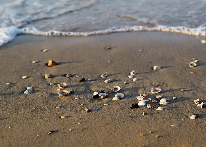 Apartment Comfortable Flat Next To The Beach-beahost